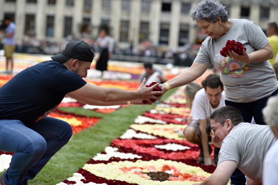 flower carpet 2018