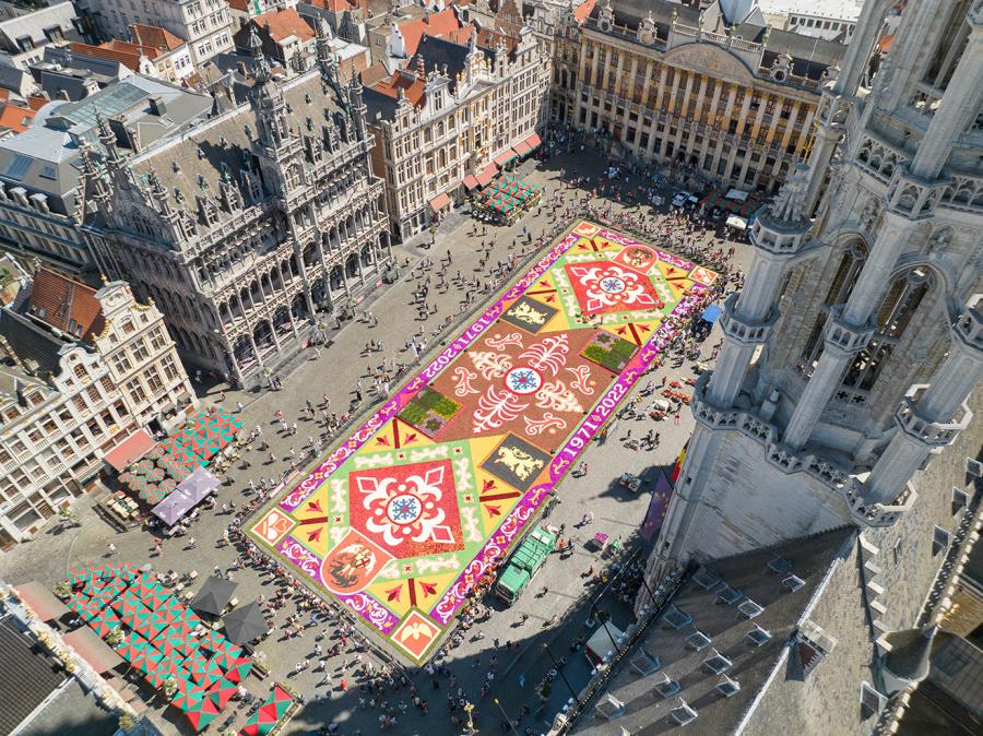 flower carpet 2022